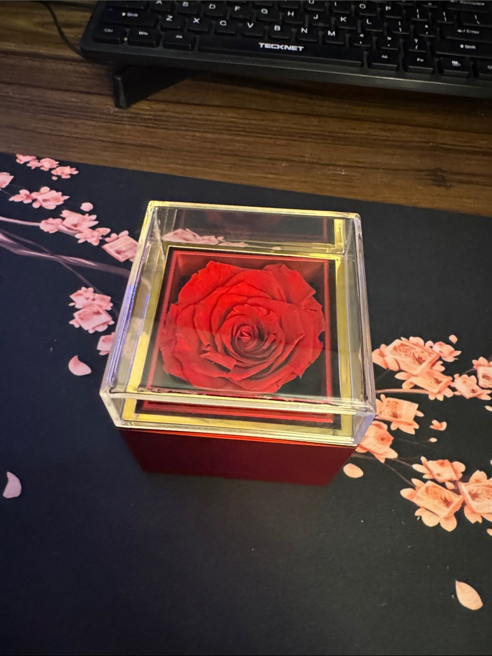 Preserved Red Rose Display Jewlery  Box